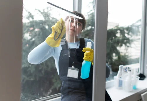 Nettoyage de vitres intérieures et extérieures à Saint-Langis-lès-Mortagne